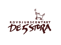 De 5 Stora